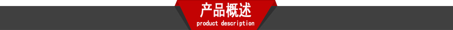 產(chǎn)品概述模版圖.jpg